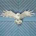 Design Toscano Mystical Spirit Owl Wall Sculpture KY4090